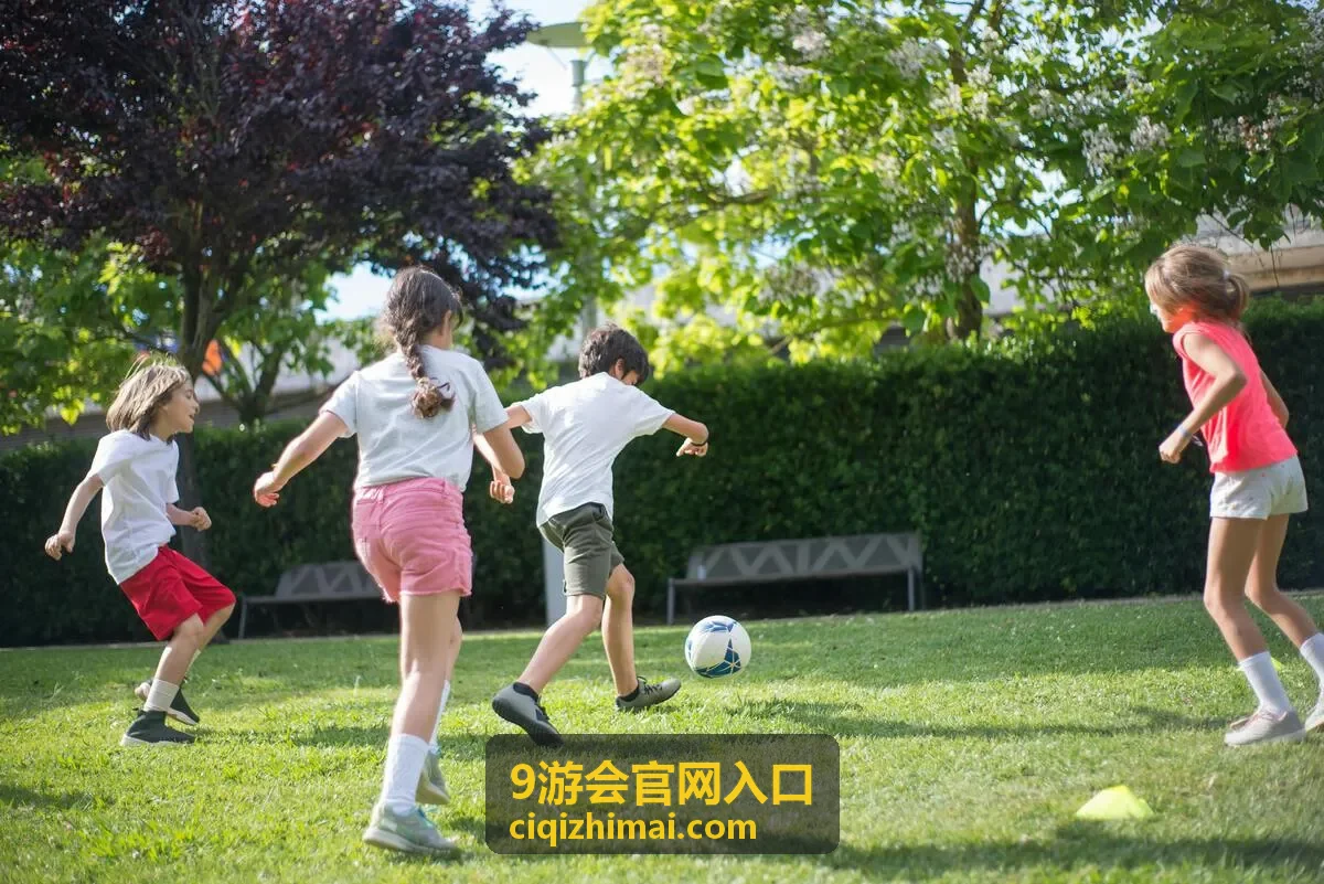 9游会官网入口通道切换说明配图