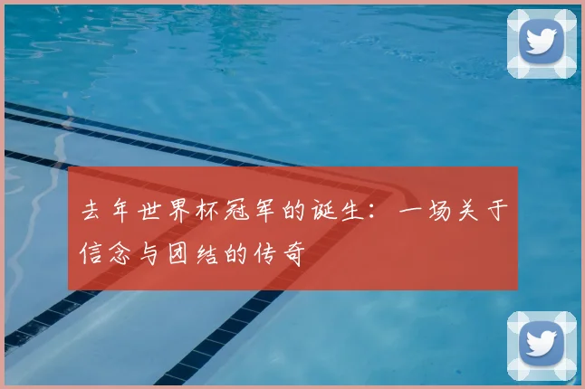 去年世界杯冠军的诞生：一场关于信念与团结的传奇