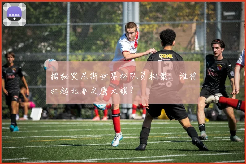 揭秘突尼斯世界杯队员档案：谁将扛起北非之鹰大旗？