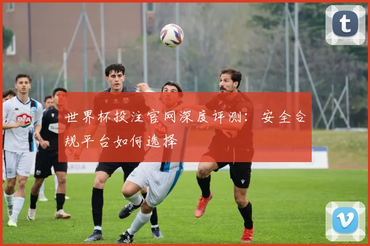 世界杯投注官网深度评测：安全合规平台如何选择