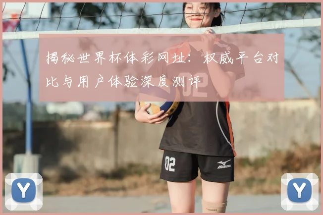 揭秘世界杯体彩网址：权威平台对比与用户体验深度测评
