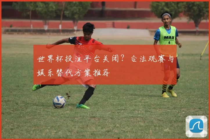 世界杯投注平台关闭?合法观赛与娱乐替代方案推荐