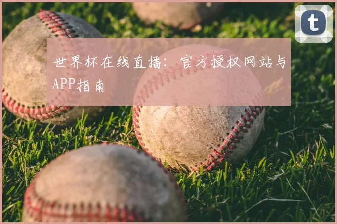 世界杯在线直播：官方授权网站与APP指南