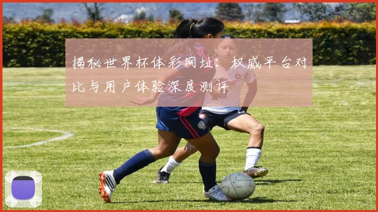 揭秘世界杯体彩网址：权威平台对比与用户体验深度测评
