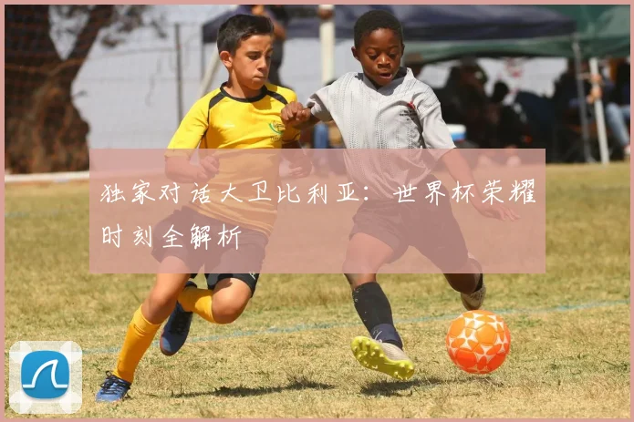 独家对话大卫比利亚：世界杯荣耀时刻全解析