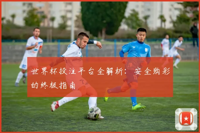 世界杯投注平台全解析：安全购彩的终极指南