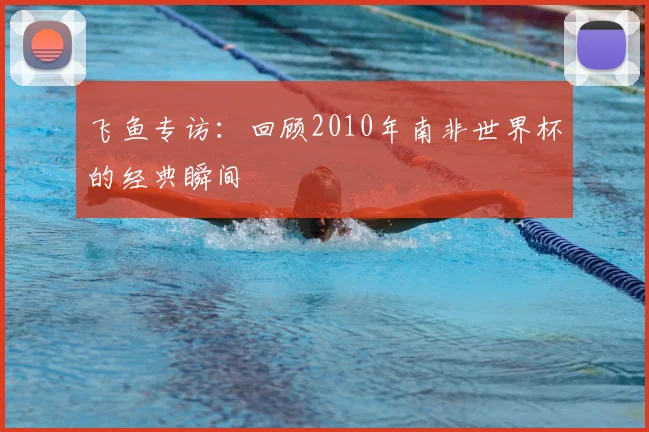 飞鱼专访：回顾2010年南非世界杯的经典瞬间