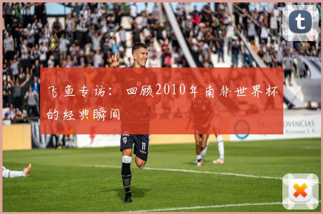 飞鱼专访：回顾2010年南非世界杯的经典瞬间