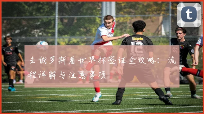 去俄罗斯看世界杯签证全攻略：流程详解与注意事项