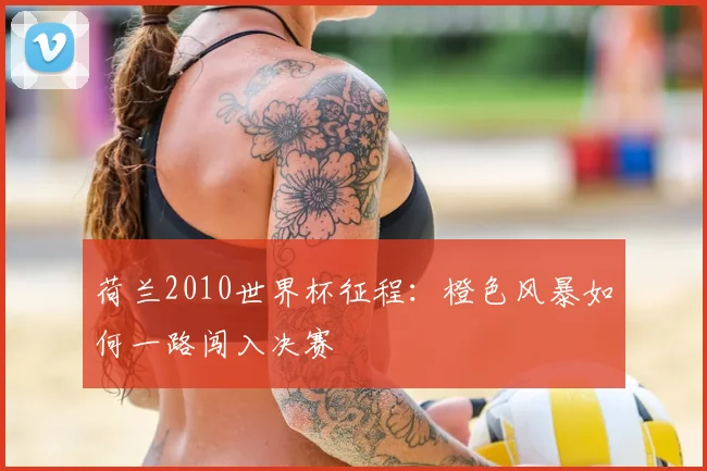 荷兰2010世界杯征程：橙色风暴如何一路闯入决赛