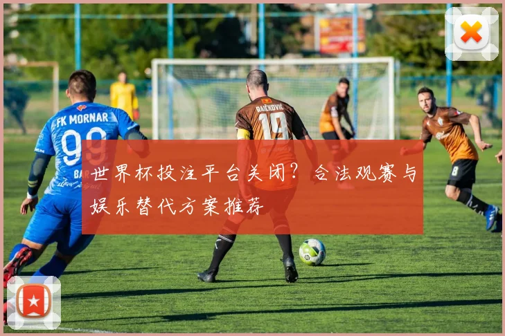 世界杯投注平台关闭？合法观赛与娱乐替代方案推荐