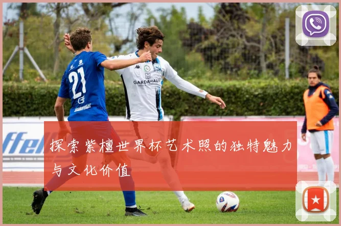 探索紫檀世界杯艺术照的独特魅力与文化价值