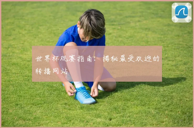 世界杯观赛指南：揭秘最受欢迎的转播网站