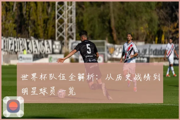 世界杯队伍全解析：从历史战绩到明星球员一览